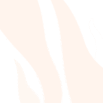 Home hero11 free img 1024x788.png